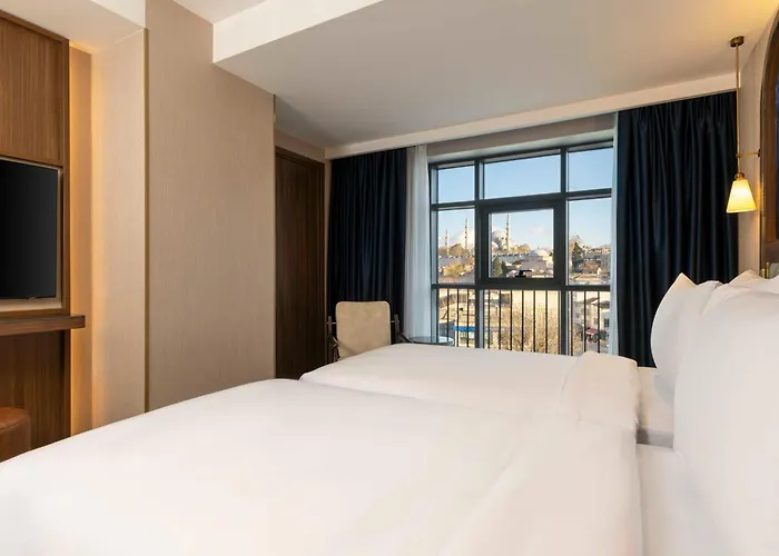 酒店 Moevenpick Old Town 伊斯坦布尔